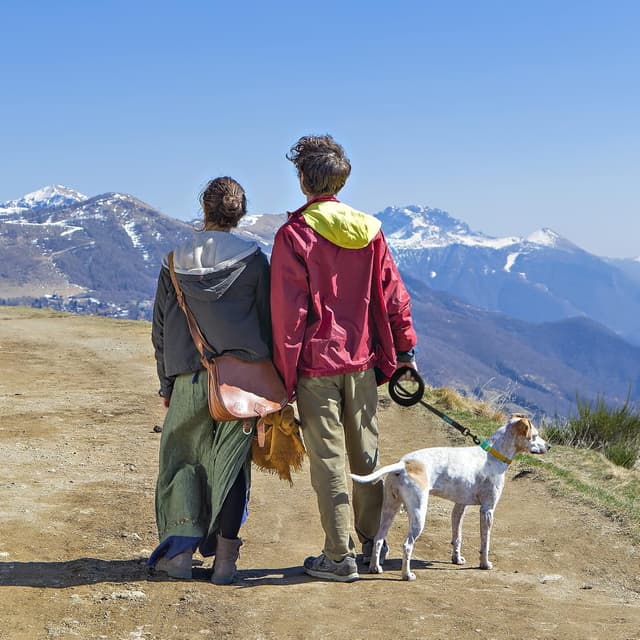 Detalle 1 de Wolfone Black 9m Long Line Lead for Recall 🐕