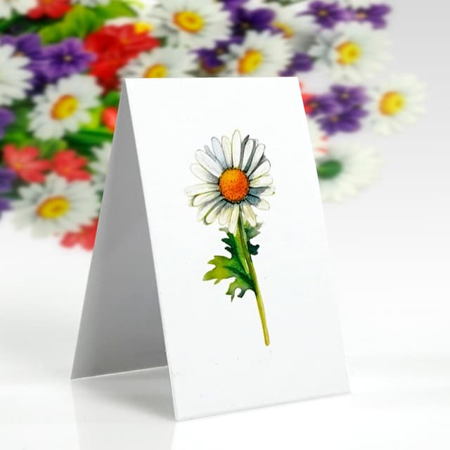 Detalle de CUT POPUP.COM Multi Colour Daisy Bouquet pop-up birthday card (15 x 20 cm)