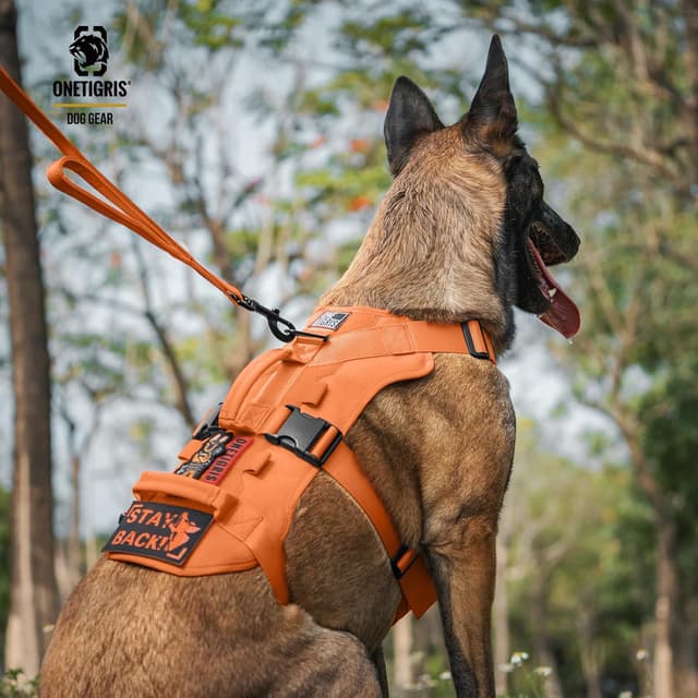 Thumbnail 6 de OneTigris Harnais tactique T-BONE pour chien, réglable et anti-éclatement, nylon 1000D