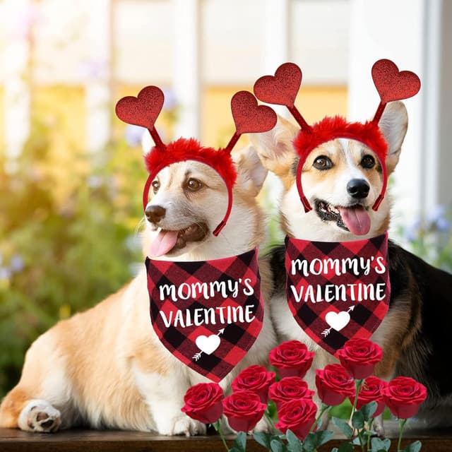 Thumbnail 6 de STMK Valentine’s Day Dog Bandana 30" 🎀