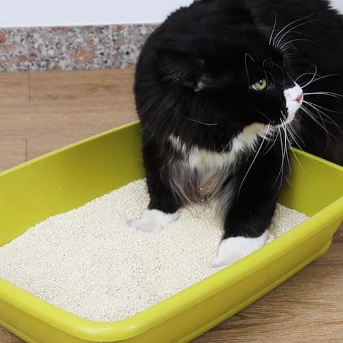 Thumbnail 5 de Croci Arena Tofu Clean Gato 🐱 Aglomerante y Biodegradable