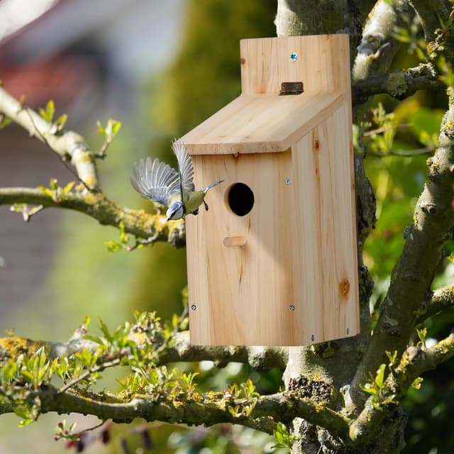 Detalle de Nichoir d’extérieur pour oiseaux à assembler Relaxdays – trou d’envol de 32 mm