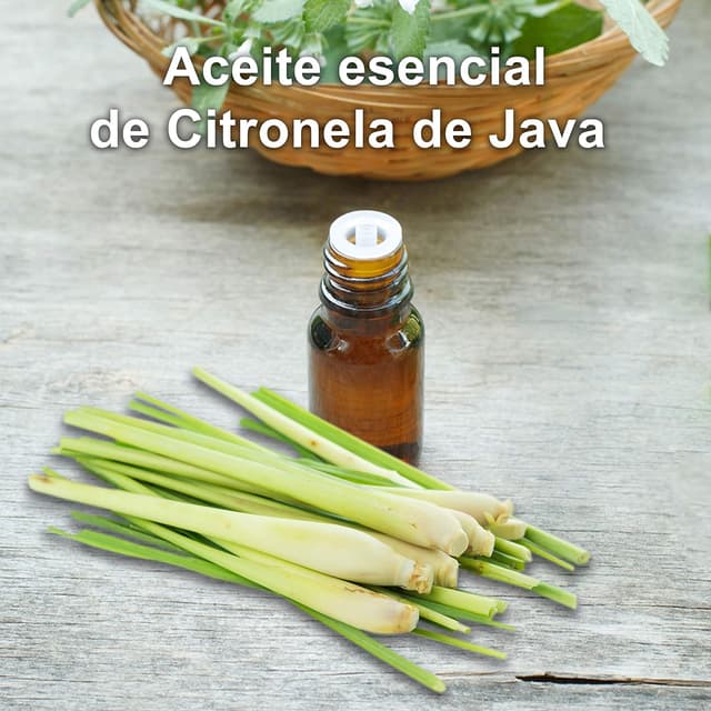 Thumbnail 2 de PLASTIMEA Aceite esencial Citronela 30 ml