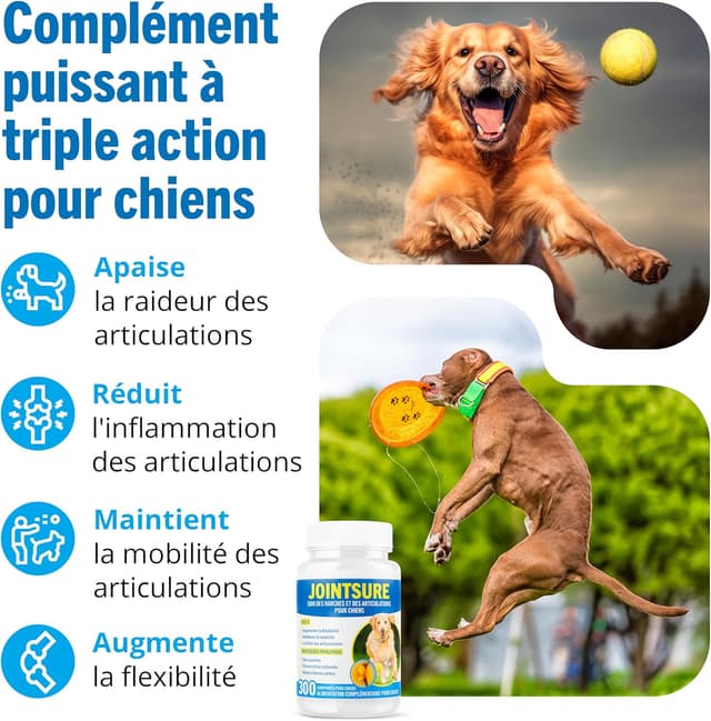 Thumbnail 3 de JOINTSURE Senior 300 comprimés pour mobilité canine