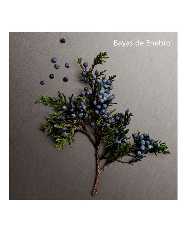 Thumbnail 3 de Calvin Klein Eternity Aromatic Essence perfume 100 ml