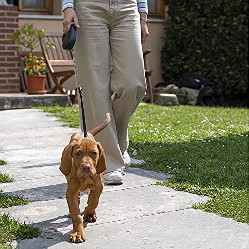 Detalle 1 de Ferplast Flippy One Cord M correa retráctil 5 m para perros 🐕