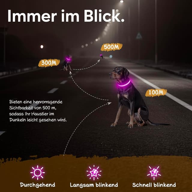 Detalle de Ezierfy LED-Leuchthalsband für Hunde, USB-aufladbar und wasserfest