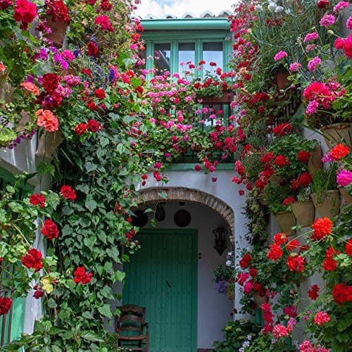 Thumbnail 6 de nutriONE Nutri 1 One fertilizante líquido