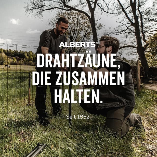 Thumbnail 1 de Alberts 654627 capuchón para poste Ø 60 mm