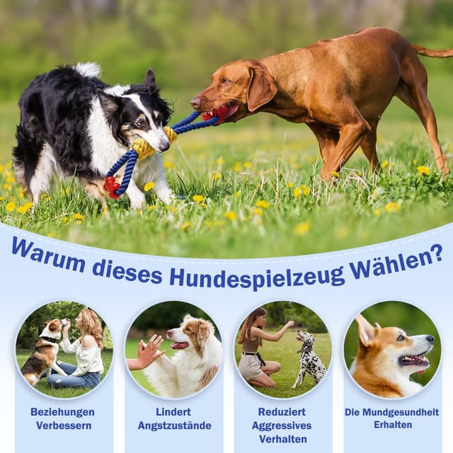 Detalle de Aitmexcn Hundespielzeug Seil (43 cm) aus Baumwolle – Zerrspielzeug für kleine bis mittelgroße Hunde