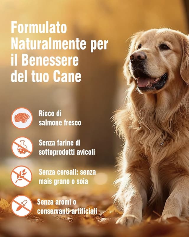 Thumbnail 4 de REVER EB3 Cibo Secco per Cani Adulti 3 kg