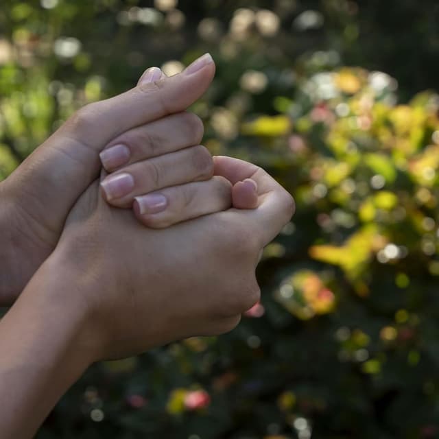 Thumbnail 2 de Weleda Crema de Manos Granada 🍇 Antioxidante y Vegana 50 ml