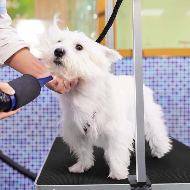 Thumbnail 3 de Yaheetech Mesa de Peluquería 118x60x177cm