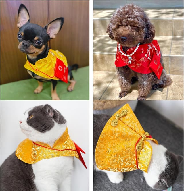 Detalle de BT Bear Dog Chinese New Year Costume (L, Gold) – Chinese Knot Buttons Tang Suit with Neck Strap Scarf