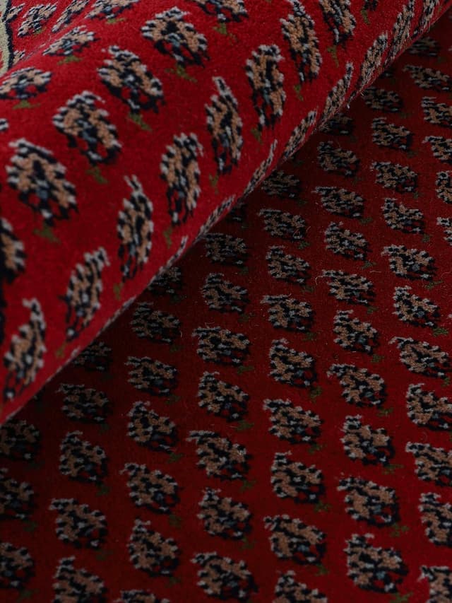 Thumbnail 6 de CarpetFine Mir Alfombra de Lana Roja 300x400 cm 🛋