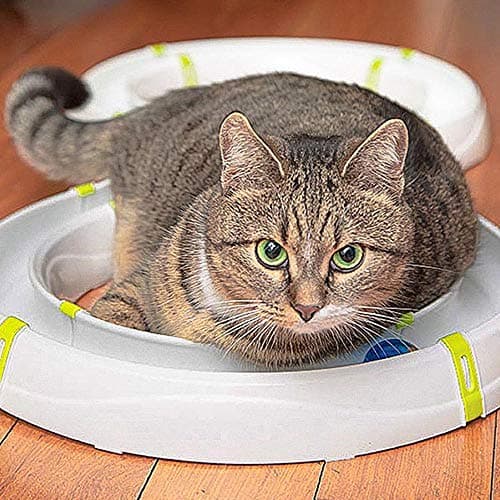 Thumbnail 3 de Ferplast Typhon circuito modular con bola LED para gatos 🐱