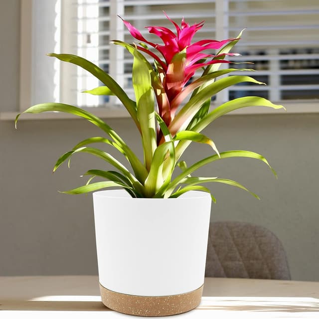 Detalle 1 de QCQHDU Bumentöpfe 2er Set 20,5 cm