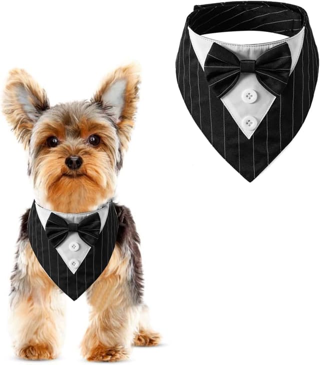Detalle de BT Bear Pet Tuxedo Collar Bandana with Bow Tie (Wedding Outfit) – XS for Small Dogs & Cats