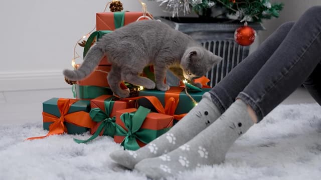 Thumbnail 5 de Jeasona cotton socks 5 pairs for size 4-9