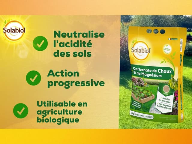 Detalle 1 de SOLABIOL Carbonate De Chaux Et De Magnésium 10 kg