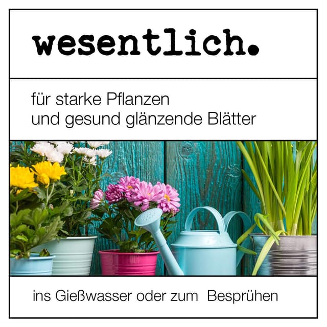 Thumbnail 1 de wesentlich Neemöl mit Emulgator 1000ml