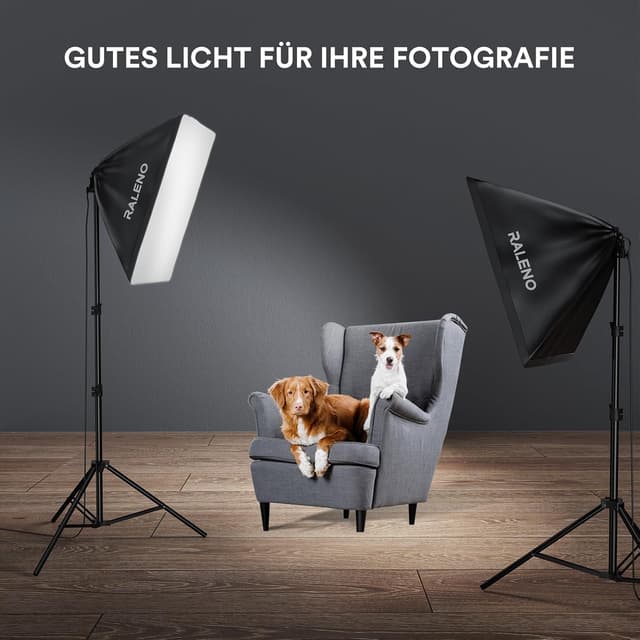 Thumbnail 5 de RALENO Softboxen 2×50 W LED Fotostudio-Set mit 50×50 cm Beleuchtung