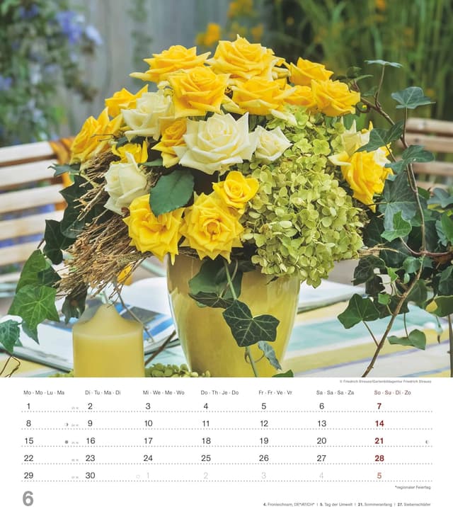 Thumbnail 6 de Alpha Edition Rosen Kalender 2026 Bildkalender