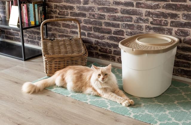 Thumbnail 6 de Iris Ohyama TECL-20 bac à litière 🐾