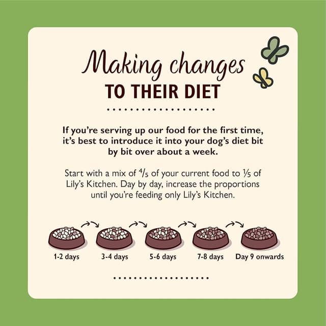 Thumbnail 6 de Lily's Kitchen Pienso seco para perros adultos 2,5 kg