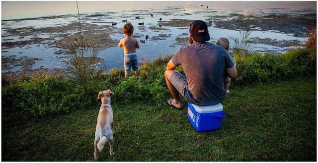 Thumbnail 3 de Coleman Nevera Rígida 16QT 15L