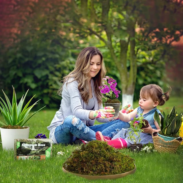 Thumbnail 6 de Sphagnum Moos 2er Pack für Pflanzen 10 L
