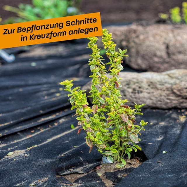 Detalle de Hinrichs Unkrautvlies 50 m – wasserduchlässige Unkrautfolie (50 g/m²) gegen Unkraut
