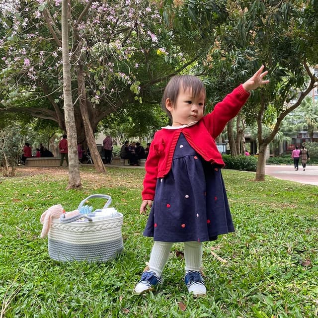 Detalle 1 de YeaYee Baby Windel Caddy Organizer, 36,1 x 22,1 x 18 cm