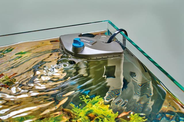 Thumbnail 6 de OASE BioPlus Thermo 200 Innenfilter