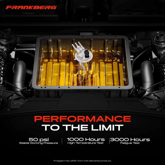 Detalle 1 de Frankberg Astra G Fuel Pump 12V