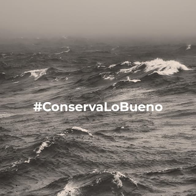 Thumbnail 4 de Calamares en Salsa Americana La Sirena 110g 🦑