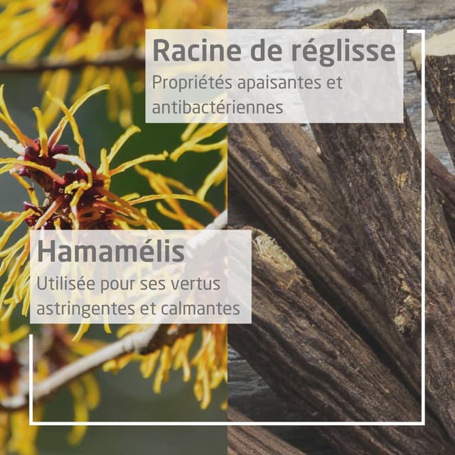 Thumbnail 3 de WELEDA Déodorant roll-on 24H Homme 50 ml