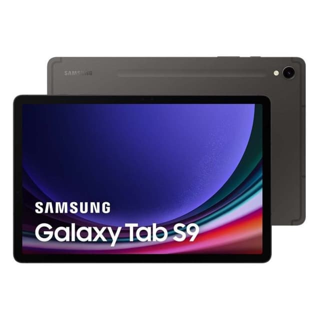 Detalle de Samsung Galaxy Tab S9 12/256 GB WiFi Gris