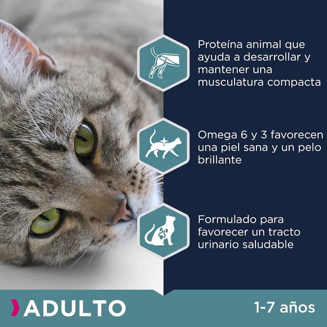 Thumbnail 4 de Eukanuba Alimento seco para gatos adultos 10 kg 🐱