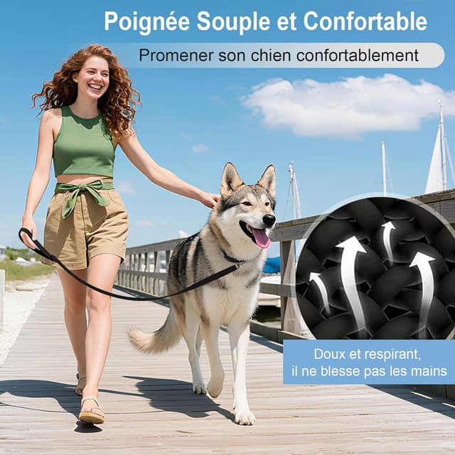 Detalle 2 de Longe pour chien étanche 1,8 m à 30 m – laisse de dressage avec poignée et crochet verrouillable