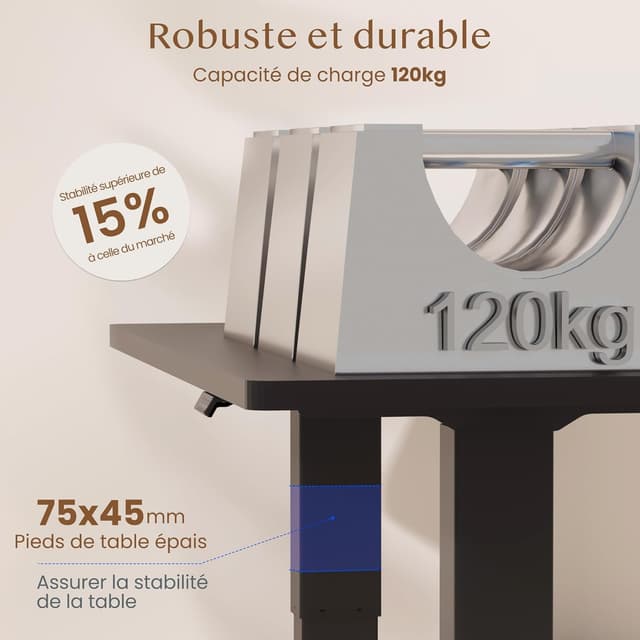 Detalle de FLEXISPOT Bureau assis-debout 140 x 70 cm à 2 moteurs, 100 kg, avec fonction mémoire (noir)