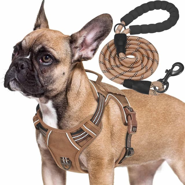 Thumbnail 6 de Haapaw Heavy Duty Tactical Dog Harness (XL) – No-Pull Adjustable with Molle & Reflective Straps, Black