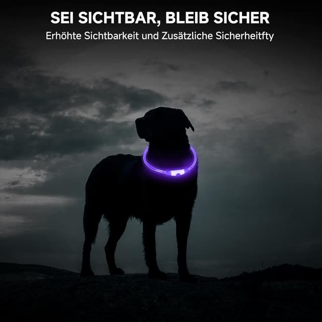 Detalle 2 de Leuchthalsband für den Hund (aufladbar) – LED, wasserdicht, 3 Lichtmodi, Violett, 70 cm
