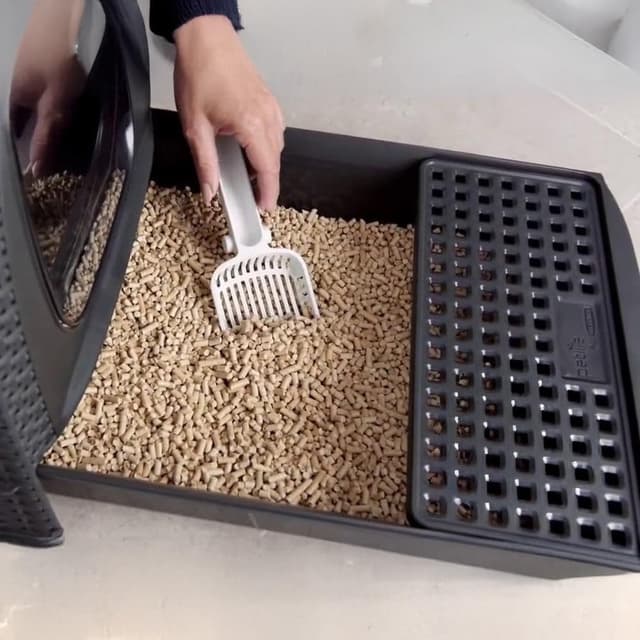 Thumbnail 4 de Keter Curver Lettiera per Gatto Chiusa