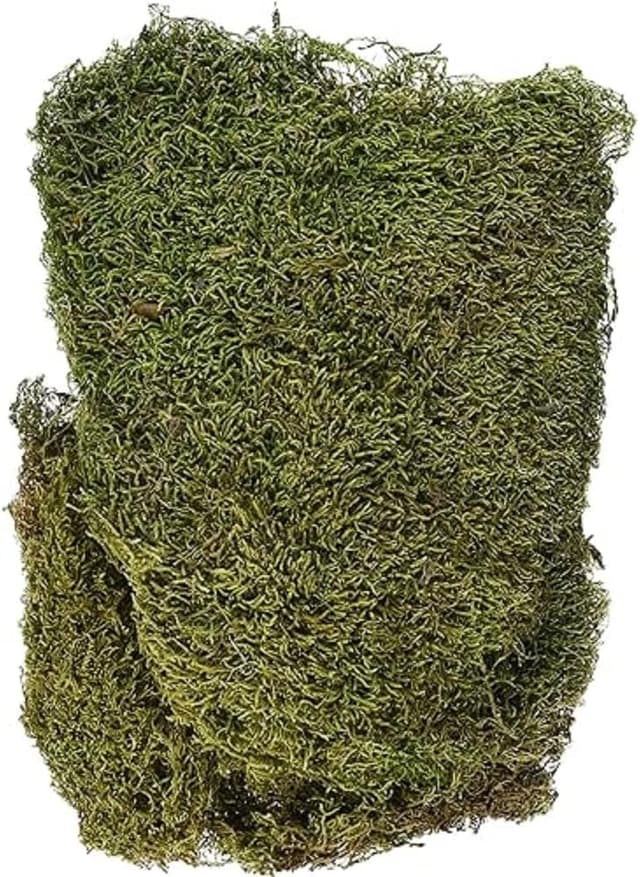 Thumbnail 1 de Rayher Musgo Natural Seco 100 g para manualidades