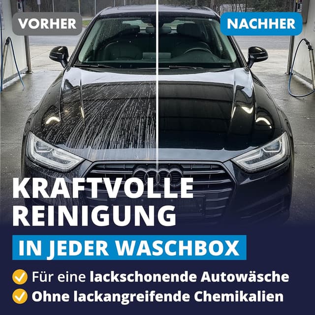 Detalle de LICARGO Insektenentferner Auto 750 ml – Insekten-, Vogelkot- und Flugrostentferner für Glas, Lack, Chrom & Kunststoff