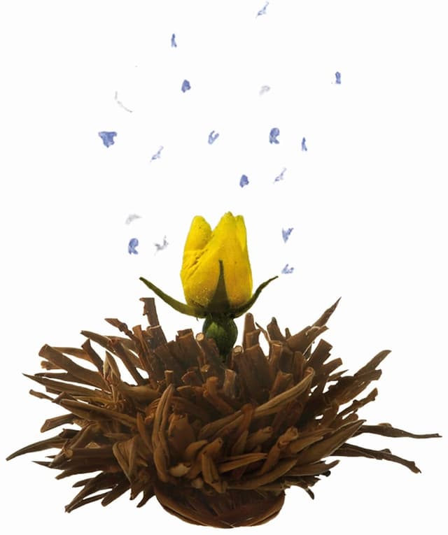 Thumbnail 5 de Creano Teeblumen 36 Teekugeln Schwarzer Tee