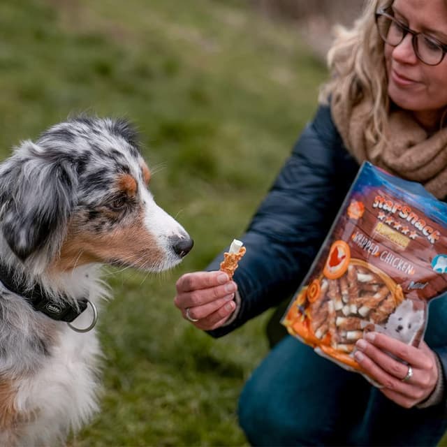 Thumbnail 1 de Nobby STARSNACK 375 g Hundesnack