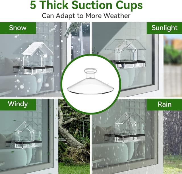 Detalle 2 de Clear Window Bird Feeder 5 Suction Cups