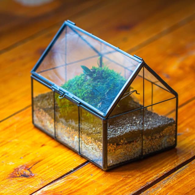 Detalle de NCYP mini glass terrarium, 15.5 cm